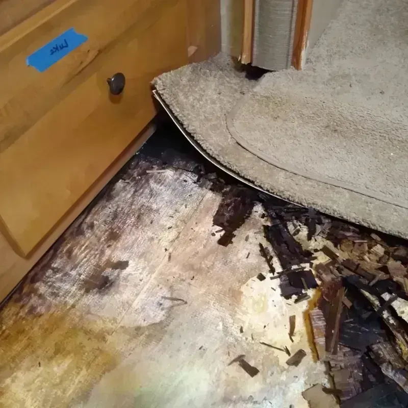 Wood Floor Water Damage in Powdersville, SC